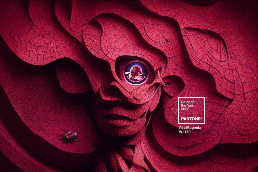2023年最具影响力的流行色 —— 活力洋红色